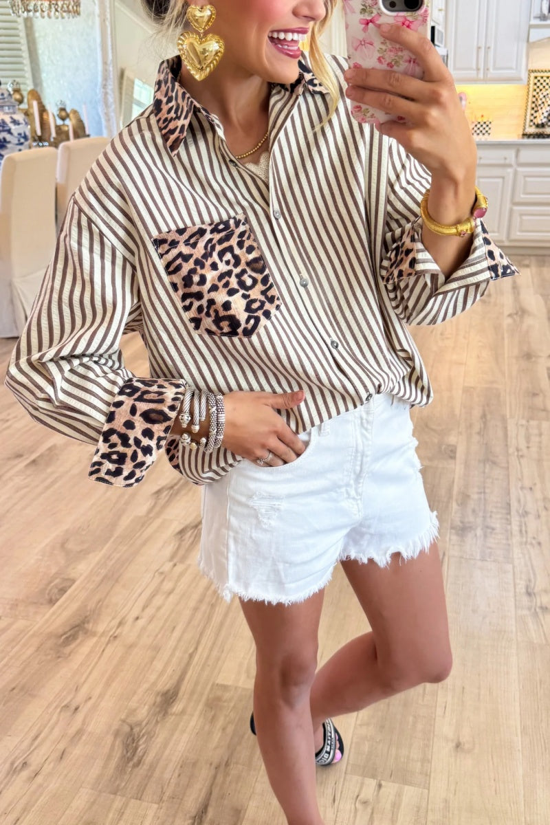 Brown Leopard Print Stripe Long Sleeve Top
