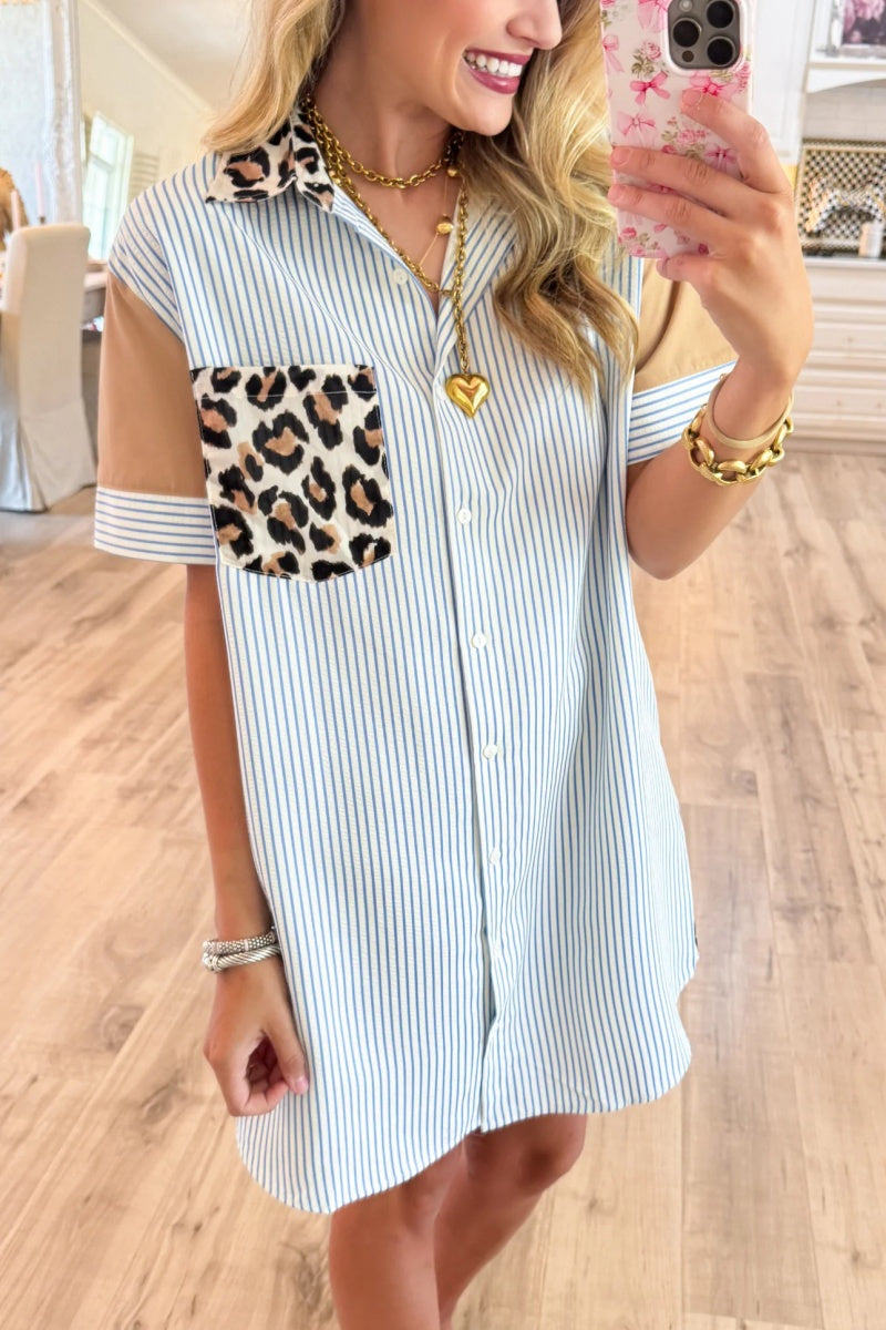 Blue Stripe Leopard Contrast Mini Dress