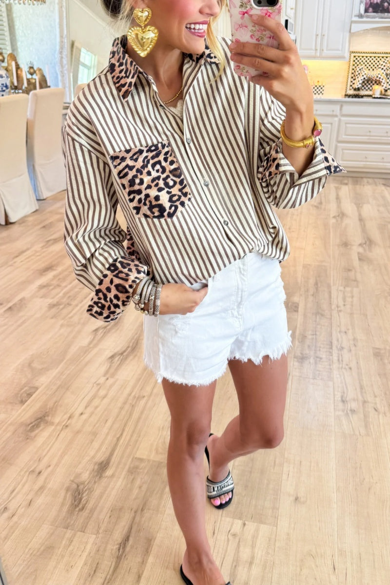 Brown Leopard Print Stripe Long Sleeve Top